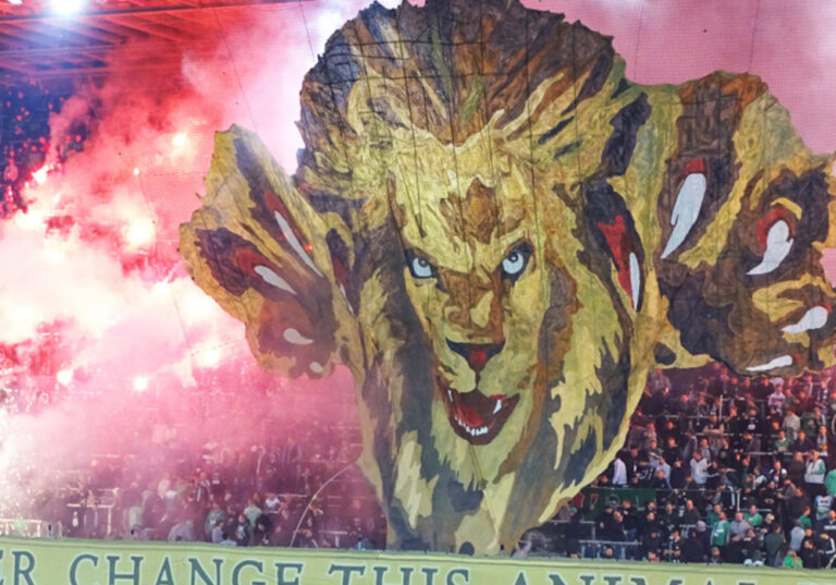 Vielteilige Choreografie zu 20 Jahren Green Lions