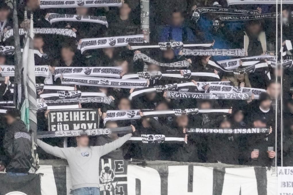 SV Sandhausen – Empty Stands