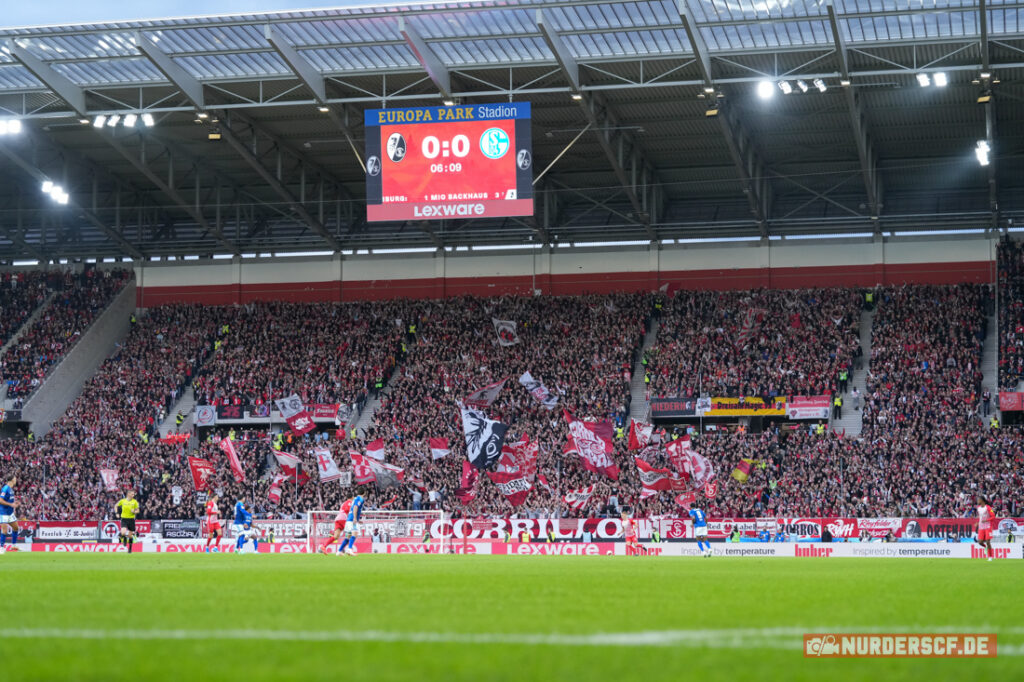 SC Freiburg – FC Schalke 04 2:1 (5)