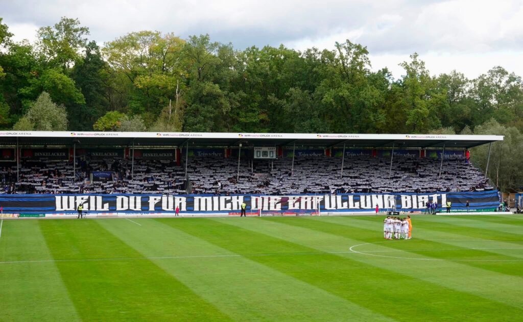 SG Sonnenhof-Großaspach – SV Waldhof Mannheim 07 1:5 (2)
