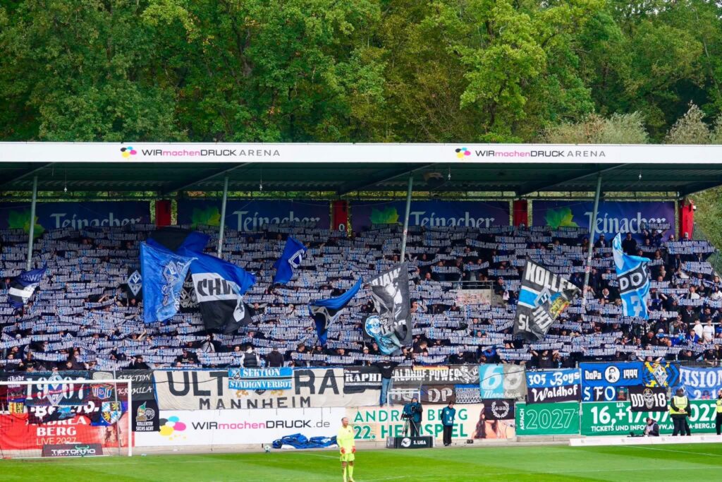 SG Sonnenhof-Großaspach – SV Waldhof Mannheim 07 1:5 (7)