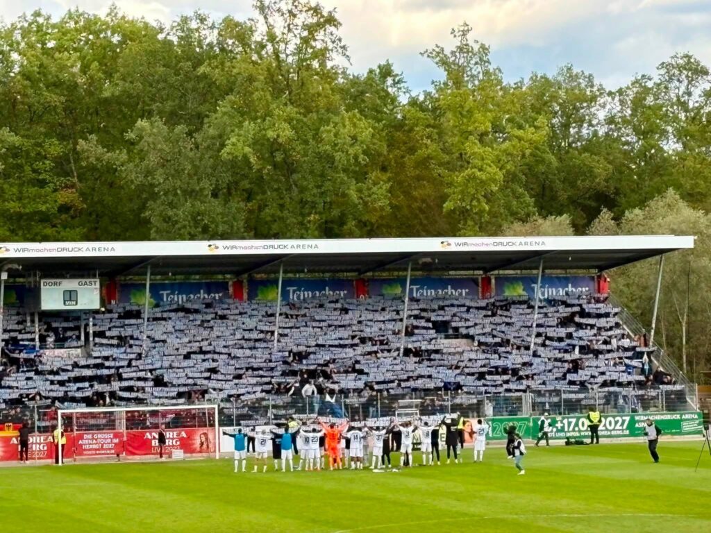 SG Sonnenhof-Großaspach – SV Waldhof Mannheim 07 1:5 (5)