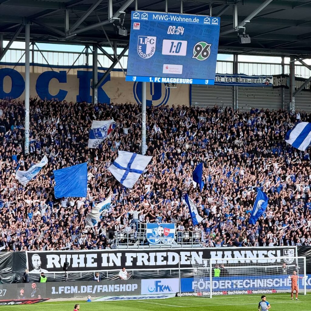 1. FC Magdeburg – Hannover 96 3:0 (8)