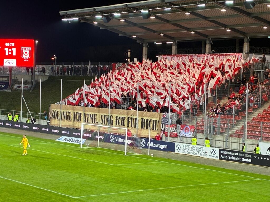 FSV Zwickau – Hallescher FC 1:3 (13)