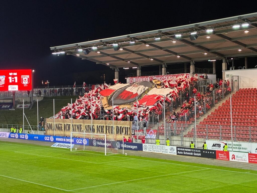 FSV Zwickau – Hallescher FC 1:3 (8)