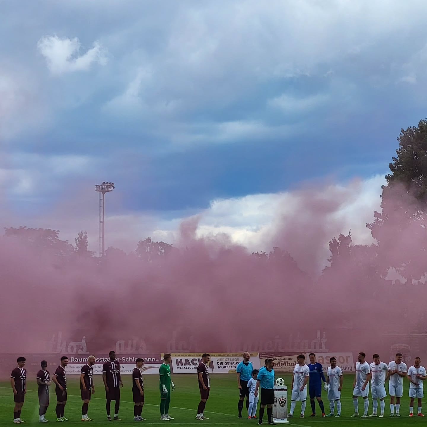 Berliner FC Dynamo – FSV Zwickau 2-2