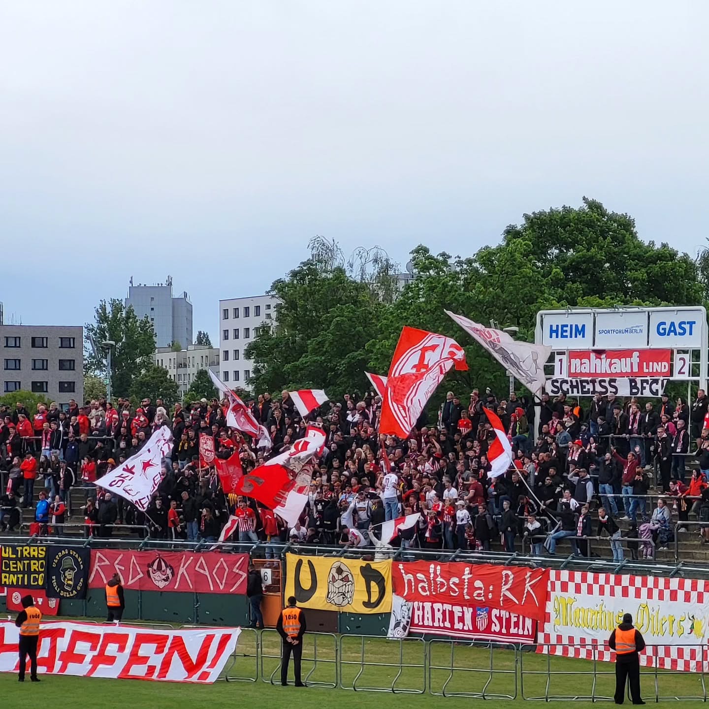 Berliner FC Dynamo – FSV Zwickau 2-2