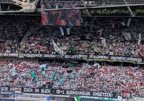 Hannover 96 – 1. FC Magdeburg 2-1 (6)