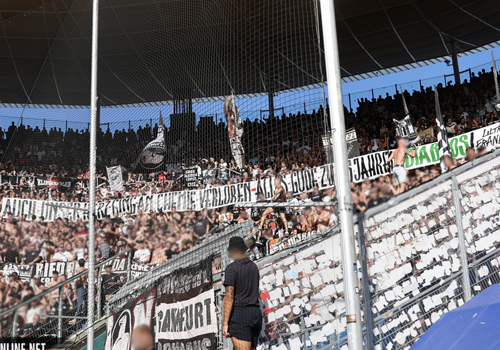 TSG Hoffenheim – SG Eintracht Frankfurt 1:3