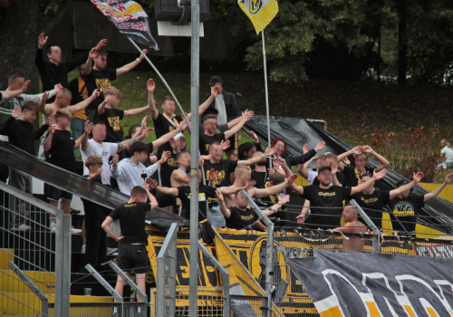 VFC Plauen – SG Union Sandersdorf 1:1