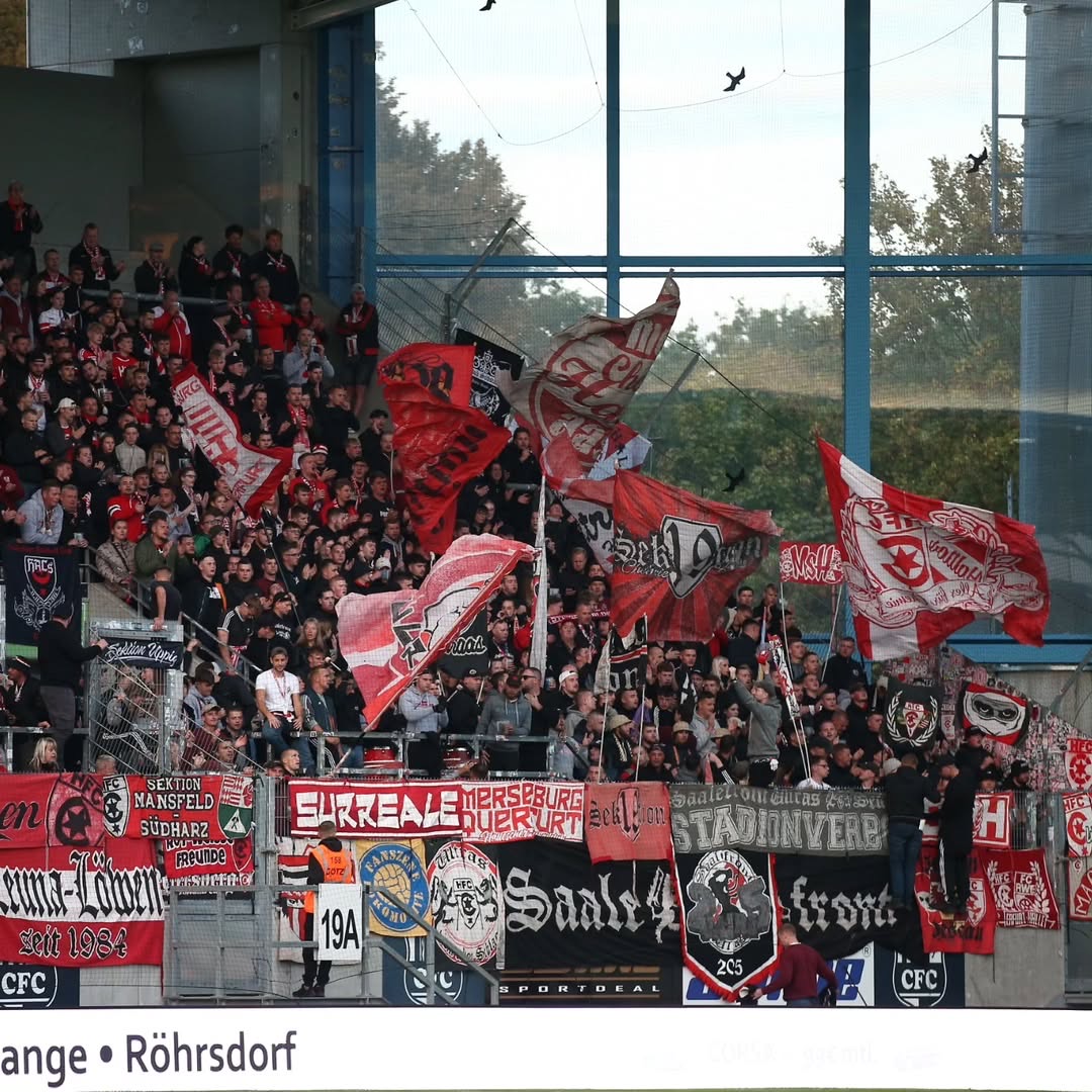 Gästefans | Chemnitzer FC – Hallescher FC (17.09.2025) 3:0