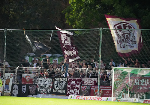 BSG Chemie Leipzig – BFC Dynamo 2:0