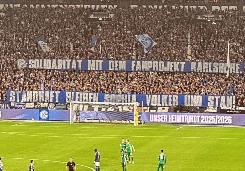 FC Schalke 04 – SpVgg Fürth 1:0