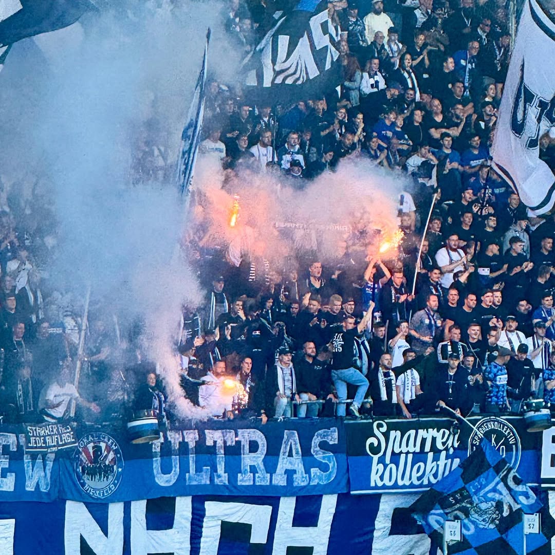 Hannover 96 – DSC Arminia Bielefeld 3:1