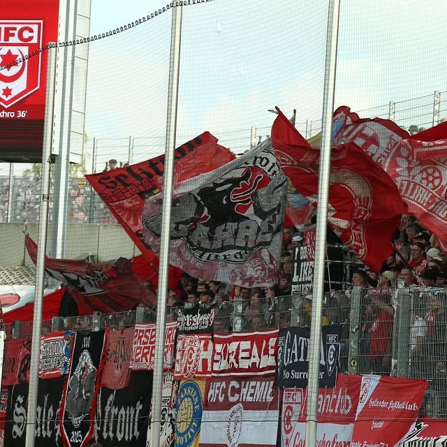 Gästefans | FSV Zwickau – Hallescher FC (28.09.2025) 2:1