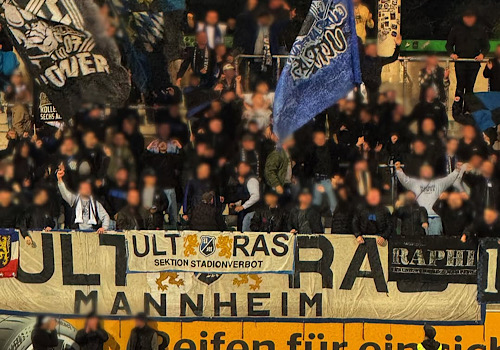 TSV Havelse – SV Waldhof Mannheim 2:3