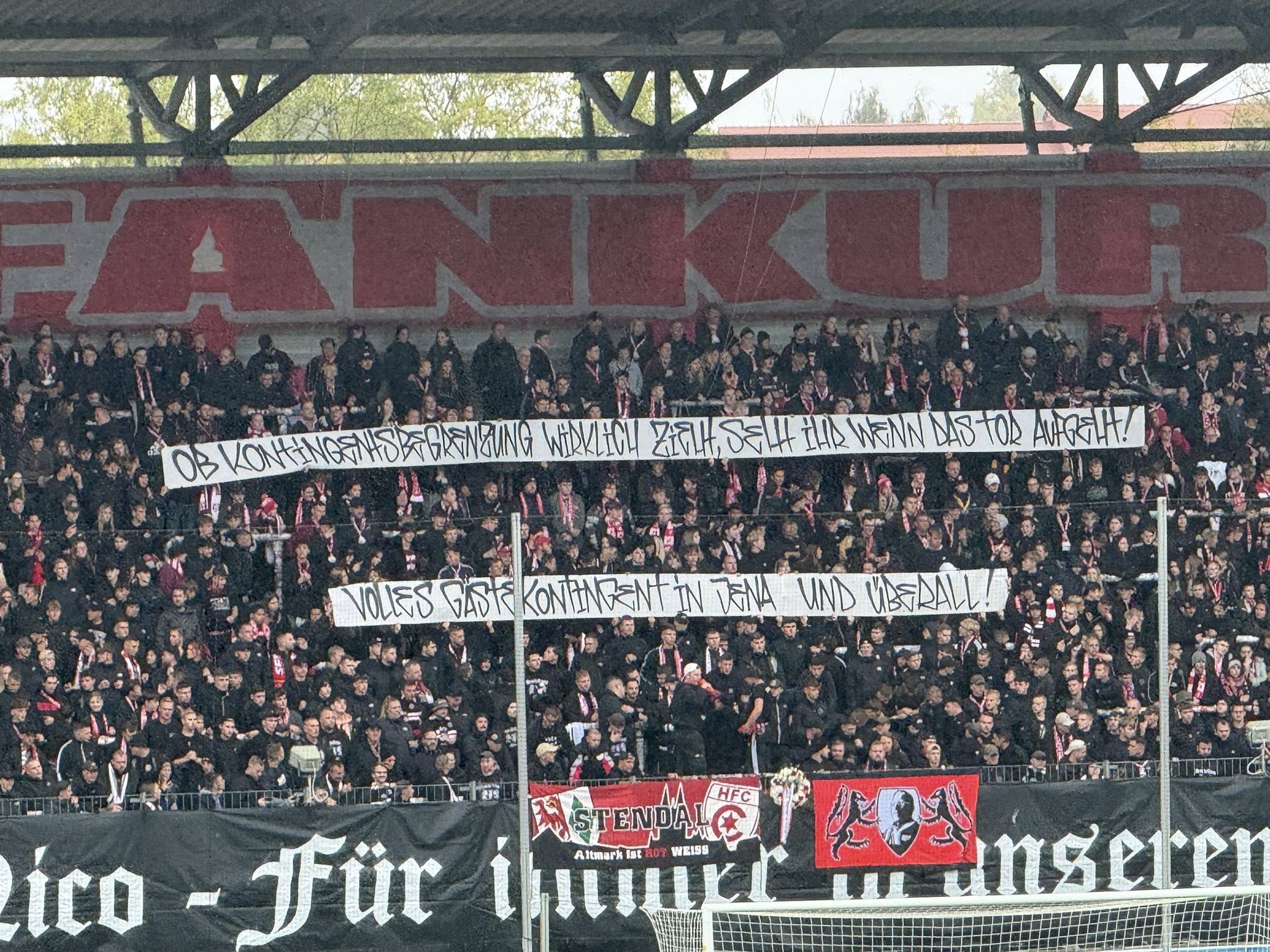 Heimfans | Hallescher FC – ZFC Meuselwitz (04.10.2025) 1:0