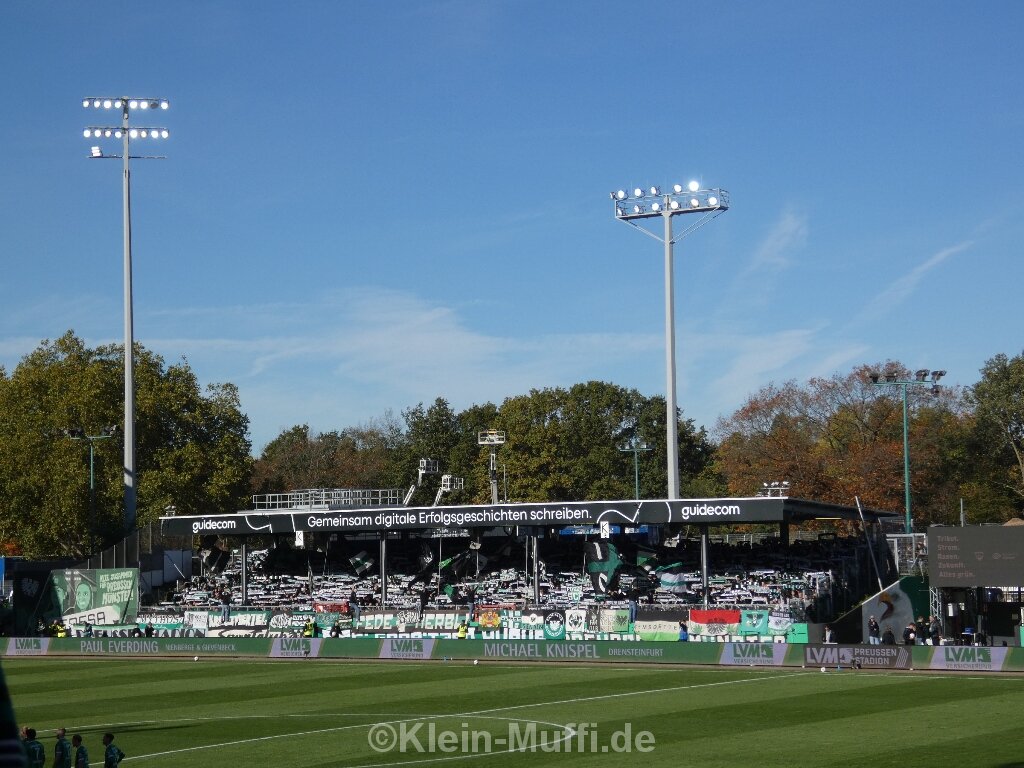 SC Preußen Münster – SG Dynamo Dresden 2:2