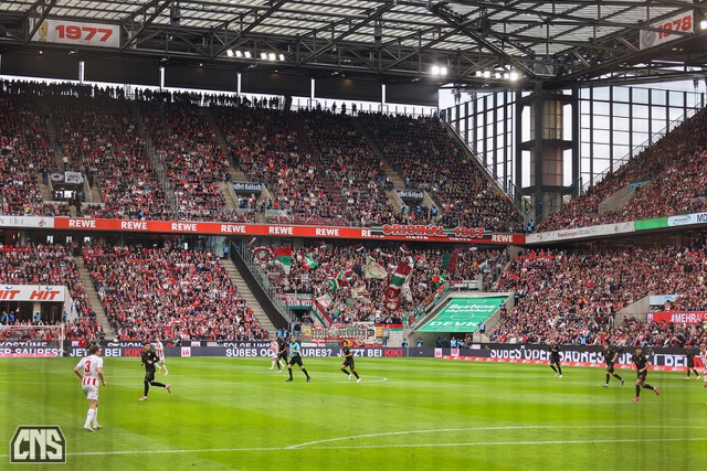 1. FC Köln – FC Augsburg 1:1