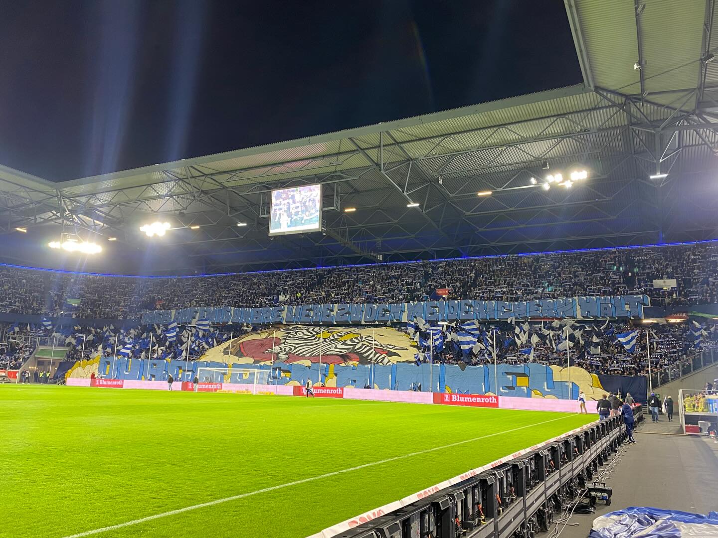 MSV Duisburg – Rot-Weiss Essen 1:1