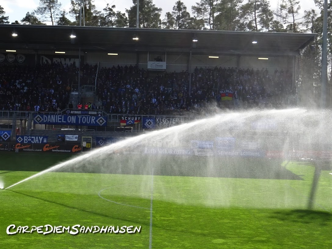 SV Sandhausen – Hamburger SV 1-1 (2)