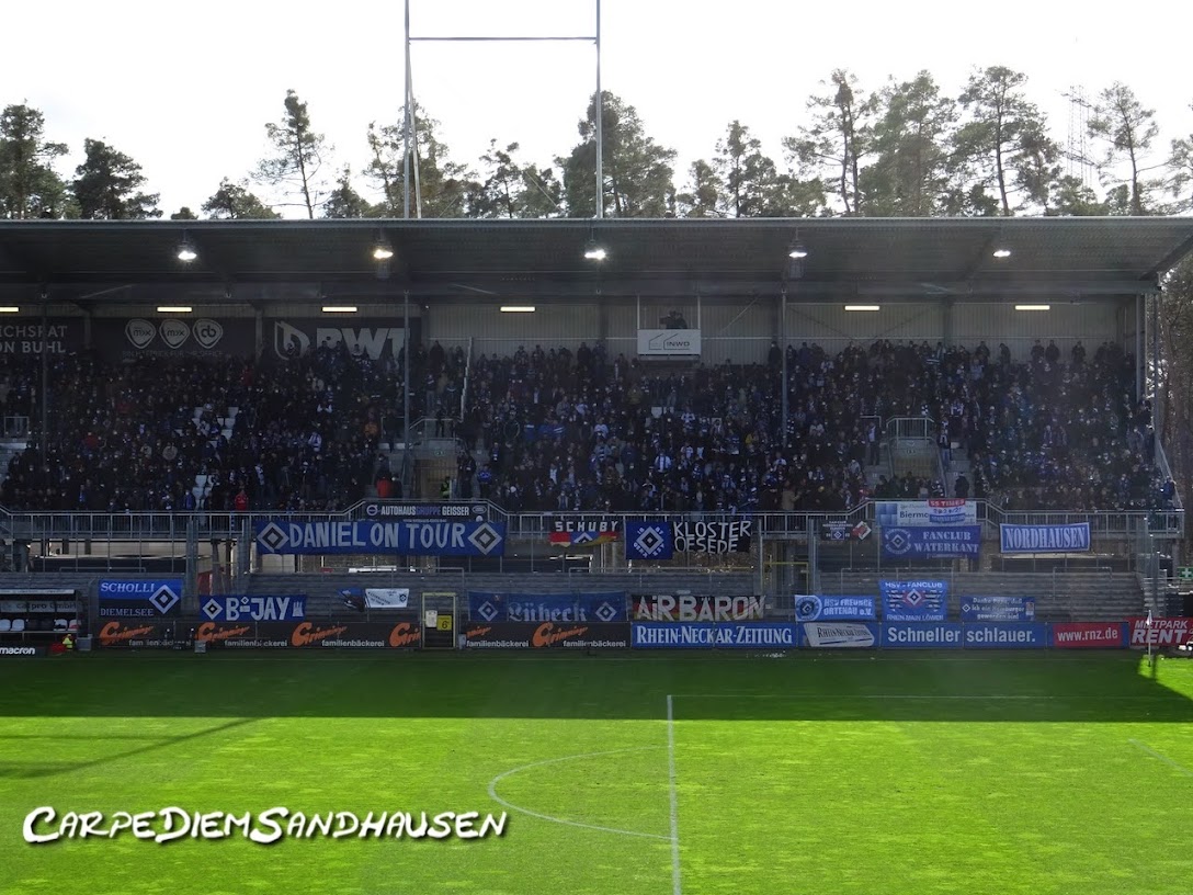 SV Sandhausen – Hamburger SV 1-1 (3)
