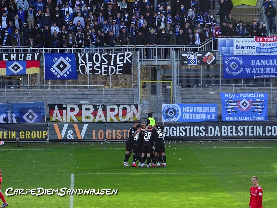 SV Sandhausen – Hamburger SV 1-1 (6)