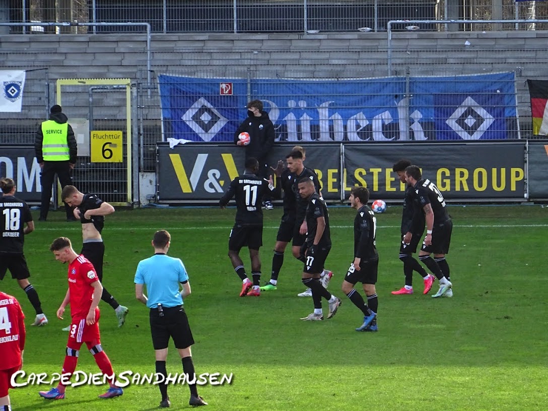 SV Sandhausen – Hamburger SV 1-1 (7)