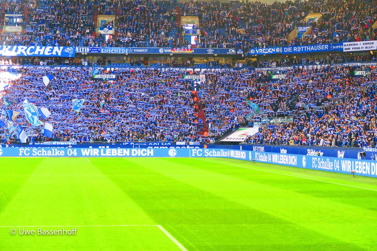 FC Schalke 04 – Hannover 96 2-1 (7)