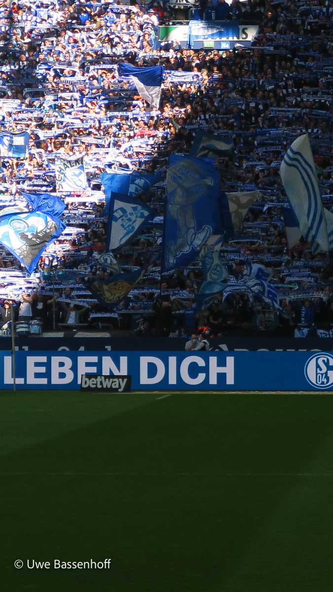 FC Schalke 04 – Hannover 96 2-1 (18)