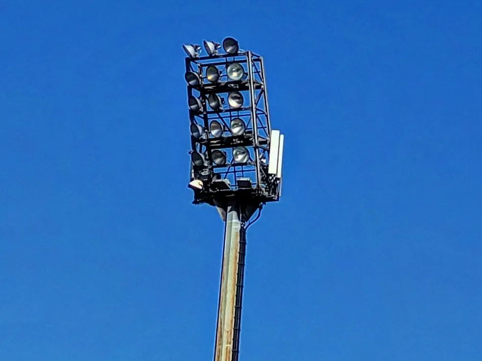 Arminia Ludwigshafen – SV Eintracht Trier 05 1-1