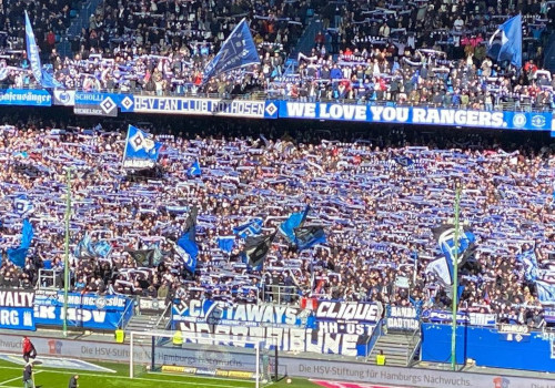 Hamburger SV – SC Paderborn 1-2 (8)