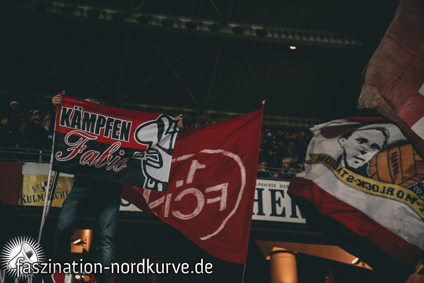 1. FC Nürnberg – SV Darmstadt 98 3-1 (46)