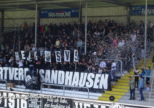 SV Sandhausen – FC St. Pauli 1-1 (1)