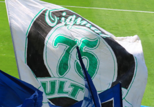 SV Darmstadt 98 – FC Schalke 04 2-5 (1)