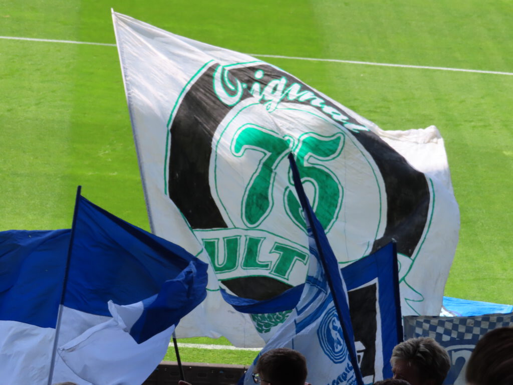 SV Darmstadt 98 – FC Schalke 04 2-5 (4)
