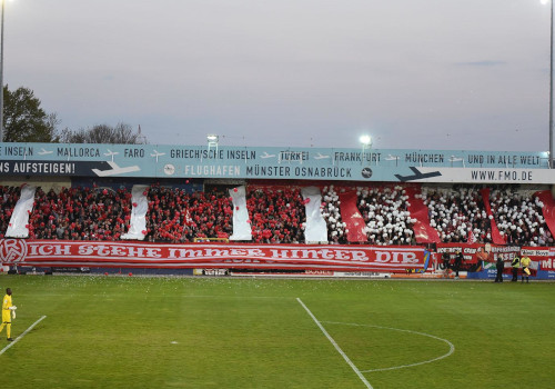 Sportfreunde Lotte – Rot-Weiss Essen (13)