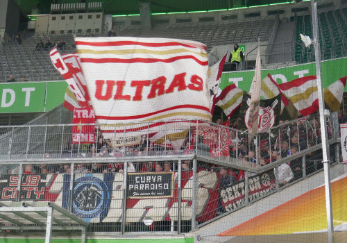 VfL Wolfsburg – 1. FSV Mainz 05 5-0 (8)