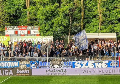 Viktoria Köln – SV Meppen 1-1