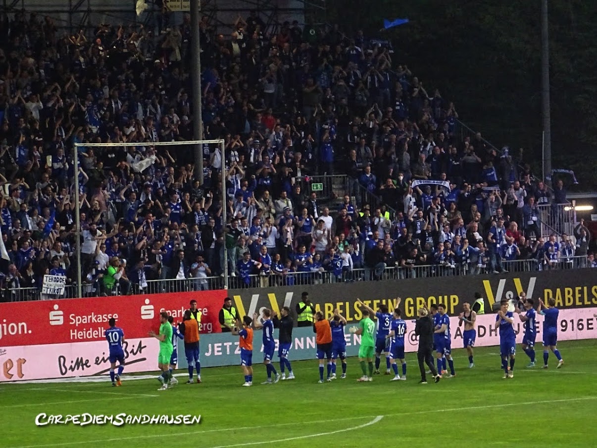 SV Sandhausen – FC Schalke 04 1-2 (1)