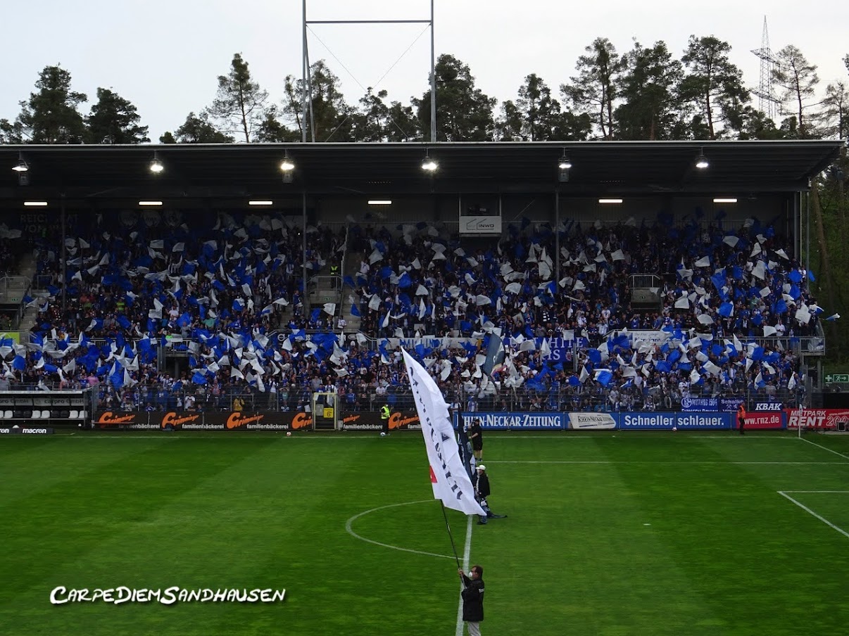 SV Sandhausen – FC Schalke 04 1-2 (2)