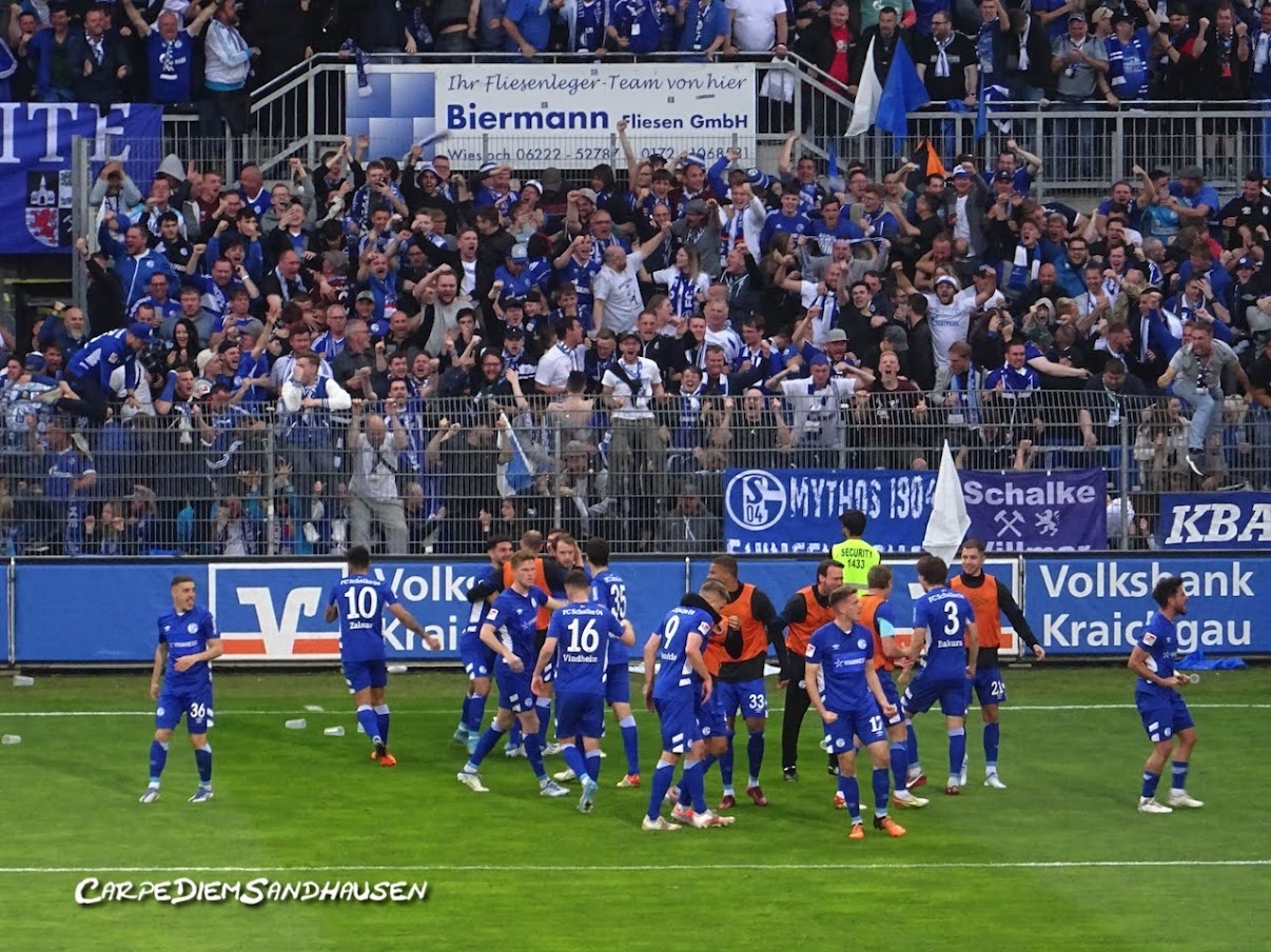 SV Sandhausen – FC Schalke 04 1-2 (4)
