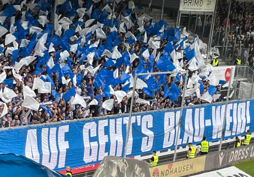 SV Sandhausen – FC Schalke 04 1-2 (9)