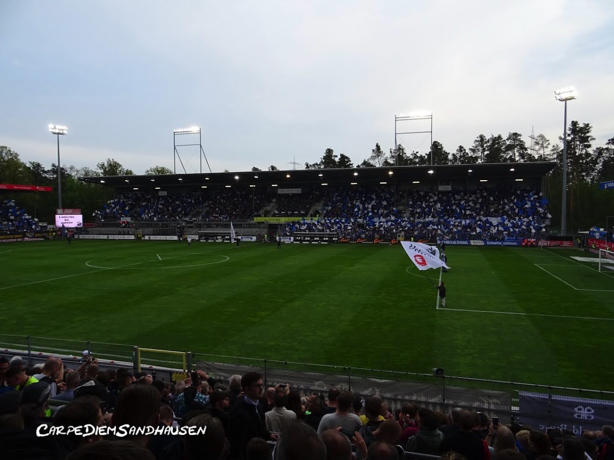 SV Sandhausen – FC Schalke 04 1-2 (16)