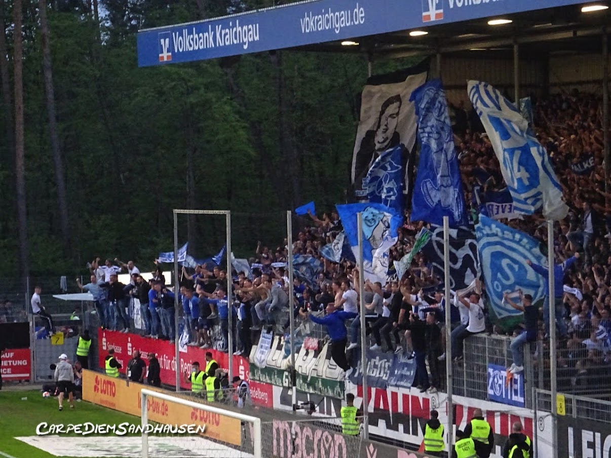 SV Sandhausen – FC Schalke 04 1-2 (17)