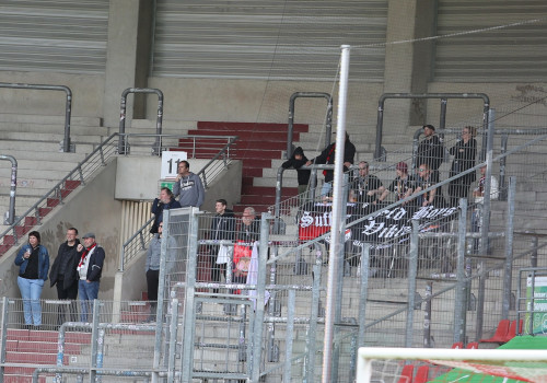 Hallescher FC – Viktoria Köln 1-1