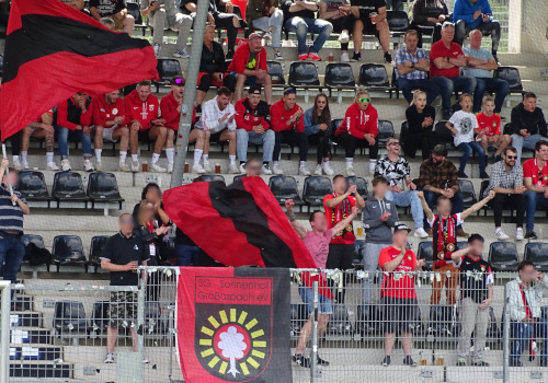 SG Sonnenhof Großaspach – SSV Ulm 3-1