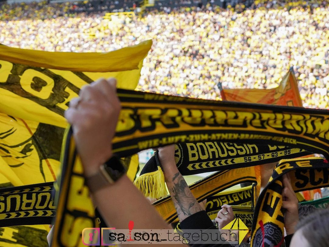 Borussia Dortmund – Hertha BSC 2-1 (15)