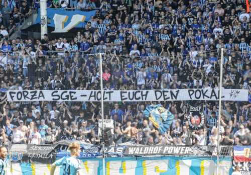 SV Waldhof Mannheim – TSV Havelse 7-0 (2)