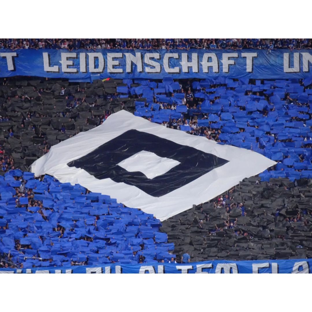 Hertha BSC – Hamburger SV 0-1 (39)